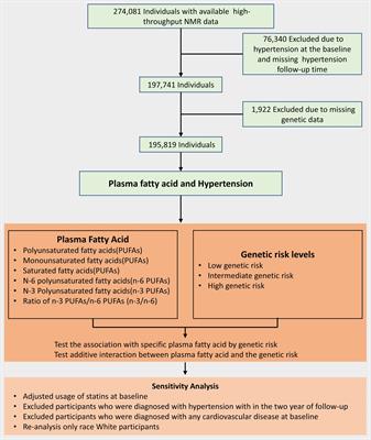 Circulating fatty acids, genetic susceptibility and hypertension: a prospective cohort study
